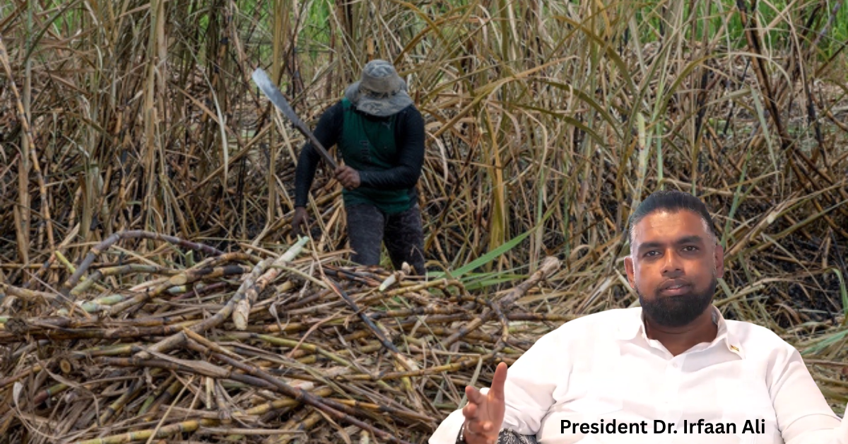 ‘Deliver or step aside’ – President Ali puts GuySuCo management on notice