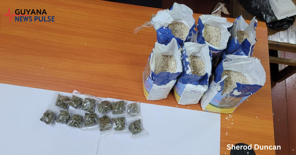 Cannabis found in cargo at Ogle airport destined for Region Seven