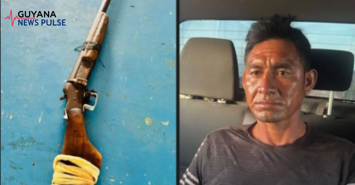 Karasabai labourer accused of illegal shotgun possession granted bail