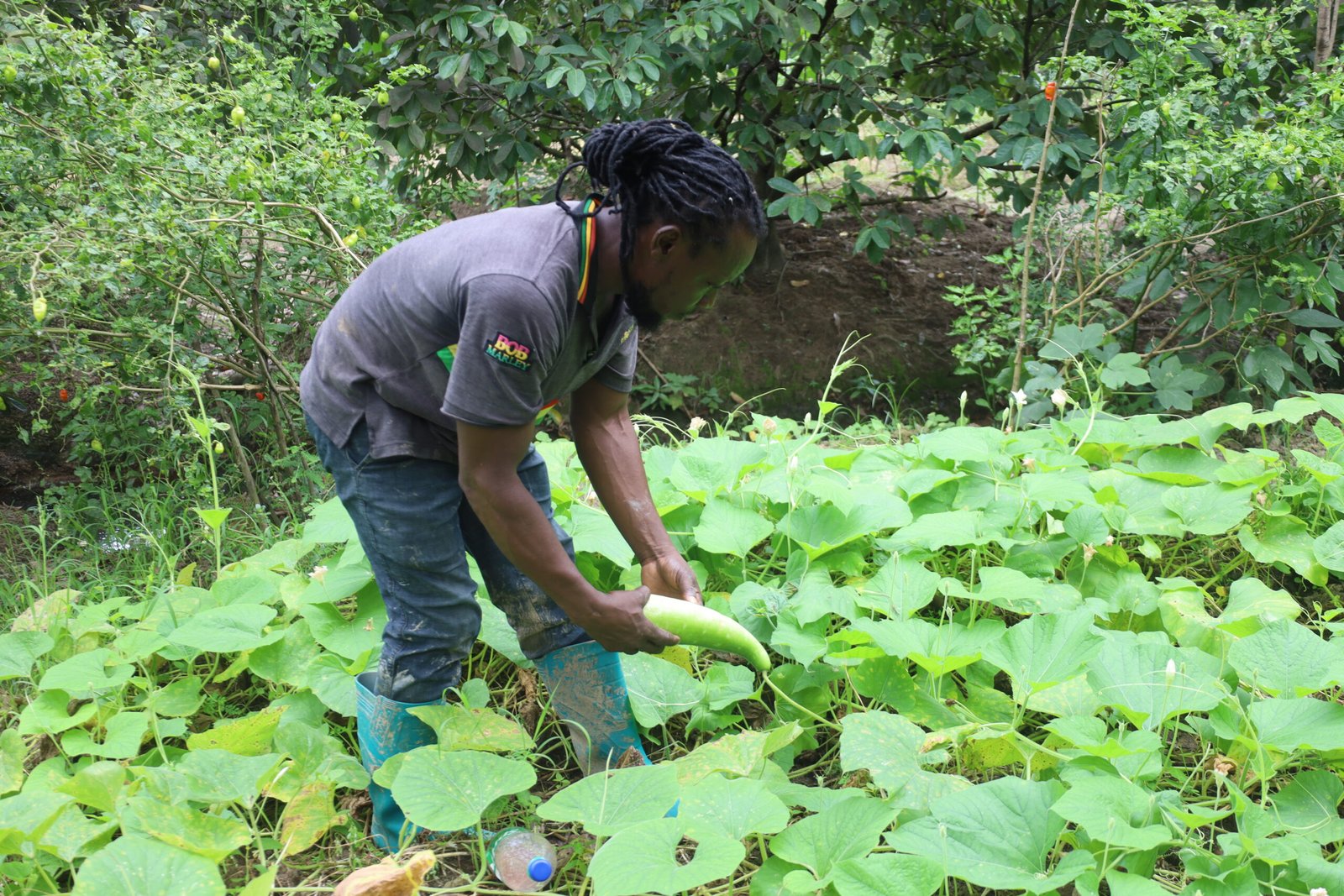 Buxton farmers credit collaboration with the gov’t for advancing agriculture