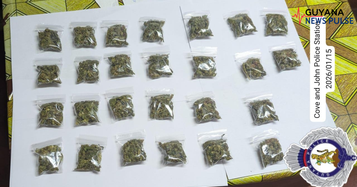 Fisherman, 26, and 63-year-old woman held after ganja found during Unity raid