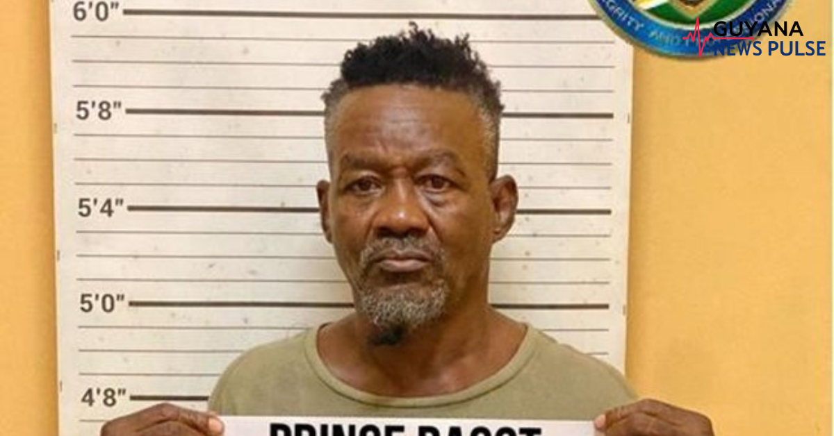 Bagotville businessman arrested after CANU finds cannabis, ecstasy