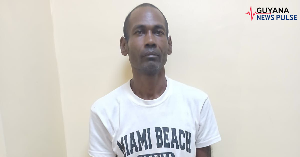 Anna Regina labourer jailed, fined after cocaine trafficking charge