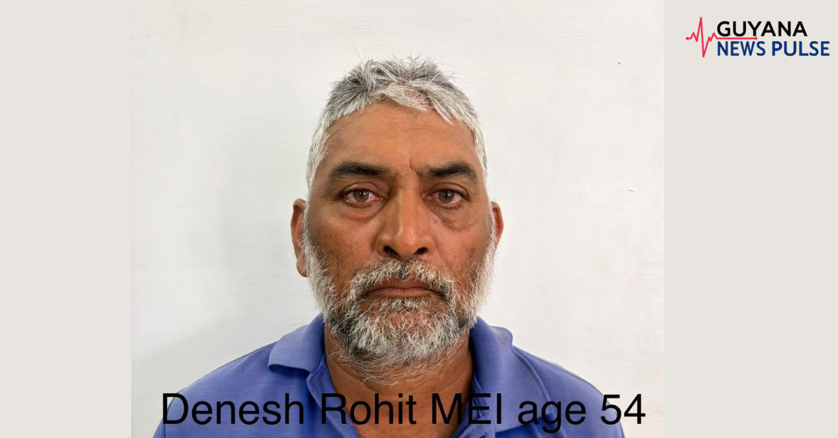 Cattle owner fined after cows roam EBD housing schemes