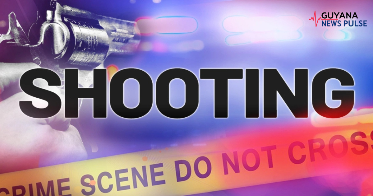 Gunmen open fire on West Ruimveldt fish vendor during mid-morning robbery