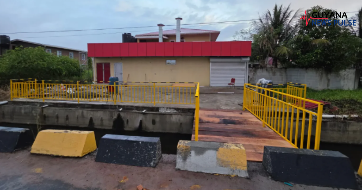 Housing Ministry demolishes unlawful bridge at Eccles