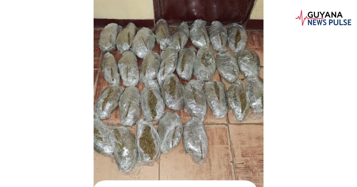 Taxi driver busted with over 13kg of ganja on Linden Highway