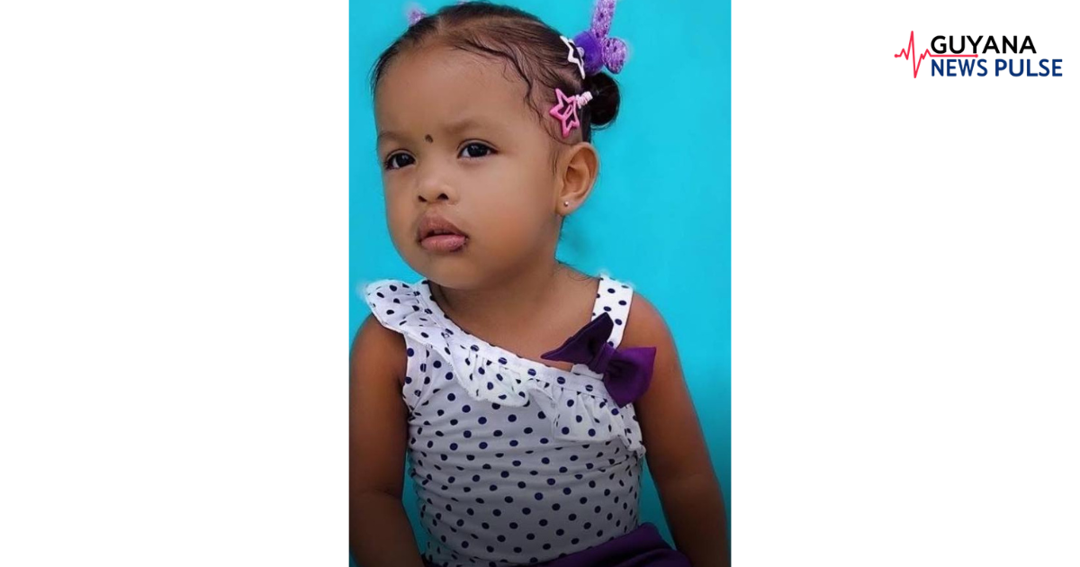 2-year-old girl drowns in Pomeroon River