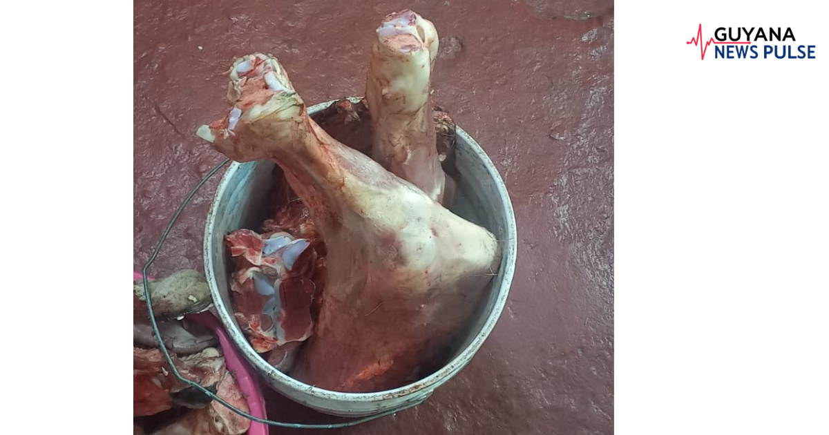 One arrested as police probe cattle theft at Bachelor’s Adventure