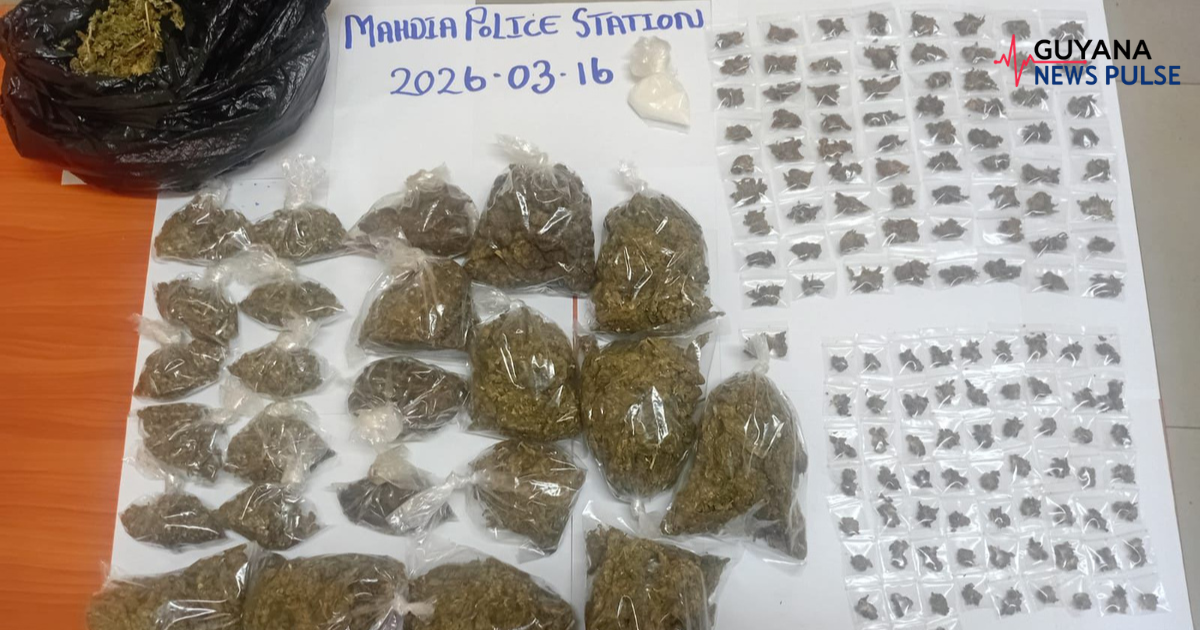 Ganja stash found in Mahdia bush during police operation
