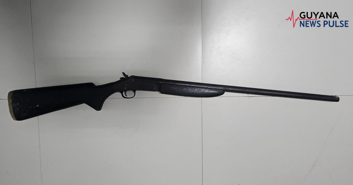 Farmer nabbed with shotgun and ducks after cops hear blasts in Lima Backdam