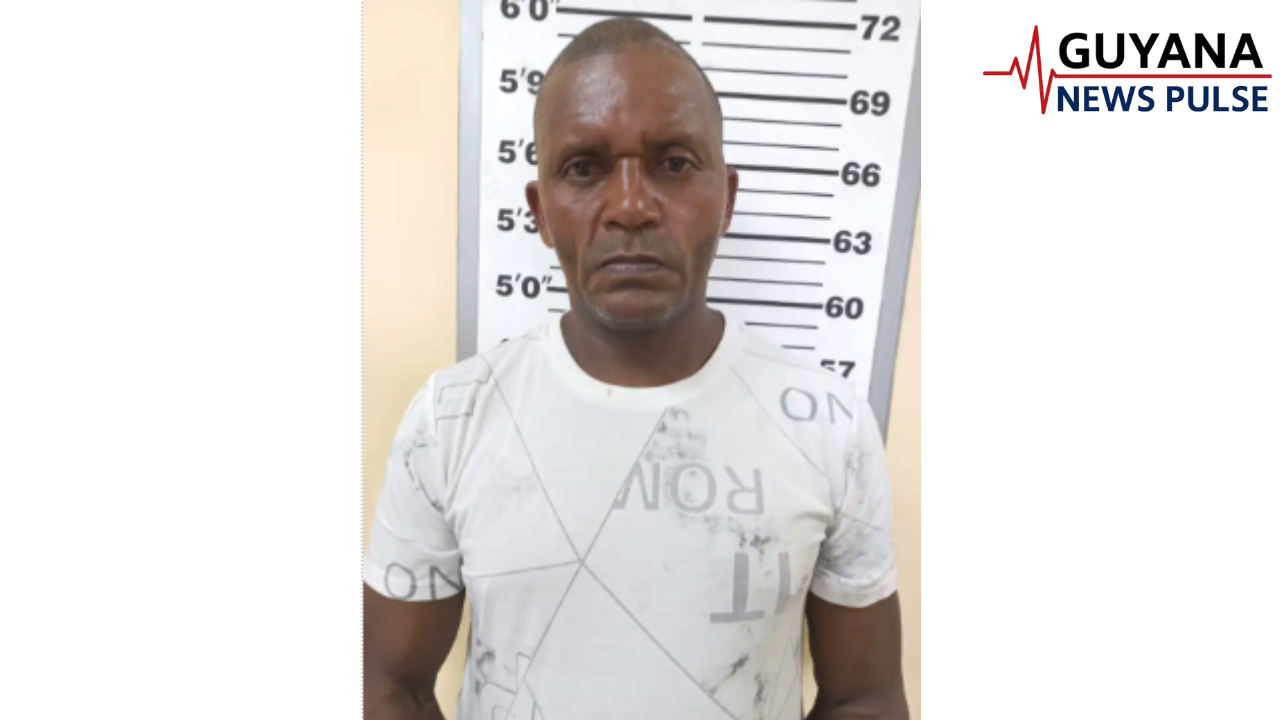 Man freed of murder charge after no-case submission upheld
