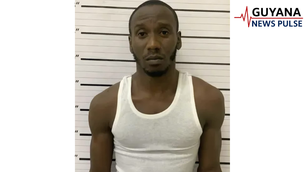 Salesman faces two manslaughter charges after Georgetown double stabbing